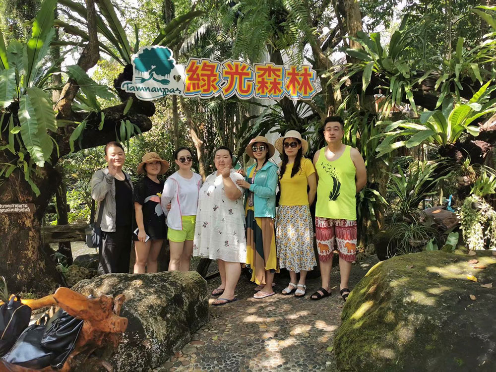 出發(fā)在鴻成，暢爽泰國游(圖2)