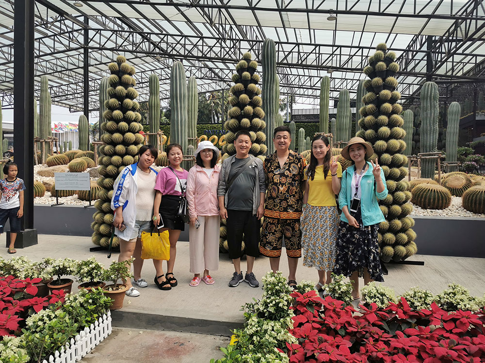 出發(fā)在鴻成，暢爽泰國游(圖3)